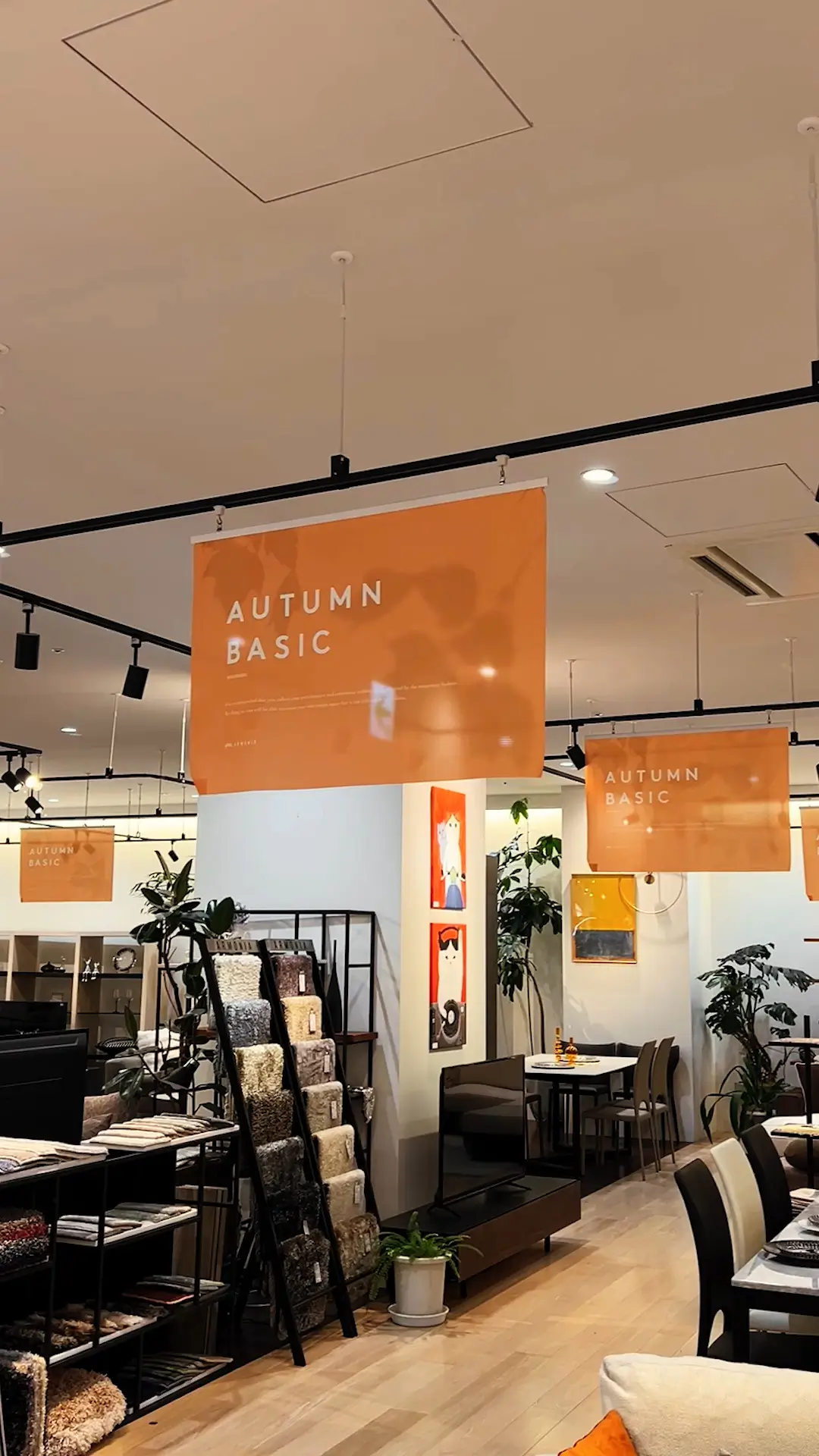 Style Collection Video Thumbnail